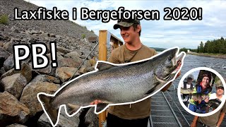 Laxfiske i Bergeforsen 2020 [upl. by Llennaj112]