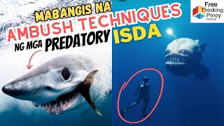 Malupet na isda Hari ng mga Predator sa DAGAT Deep Sea Creatures [upl. by Nnyltak]