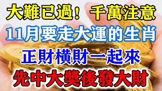 大難已過！千萬註意！11月要走大運的生肖，正財橫財一起來，先中大獎後發大財！運勢 風水 佛教 生肖 发财 横财 【佛之緣】 [upl. by Nina]