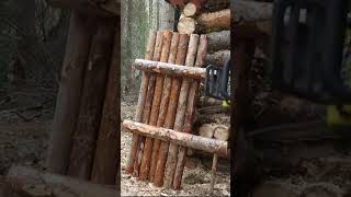 bushcraft camping survival bushcrafting skills lifehacks [upl. by Esojnauj]