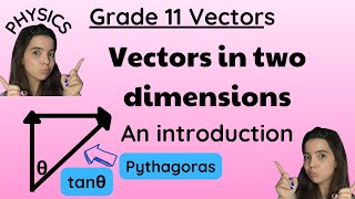 Grade 11 vector in two dimensions physics LEVEL EASY [upl. by Nelrac]