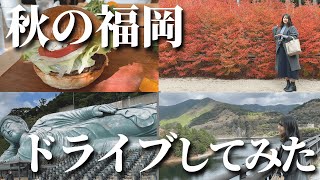 【福岡観光】福岡の紅葉スポットに行ってきた！ 呑山観音寺  横たわる大仏【ゆるふわvlog】 [upl. by Llenrod628]