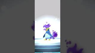 Pokemon Go Full Evolution Line of Shadow Piplup into Shadow Empoleon piplup shadowpokemon [upl. by Hulbard811]