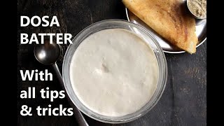 DOSA BATTER RECIPE  HOW TO MAKE DOSA BATTER  HOME with tips and tricks [upl. by Judson]