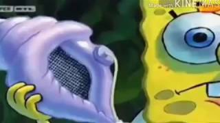 Magische Miesmuschel  Spongebob Memes [upl. by Guinna27]