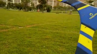 Test Throw The New Decathlon Tribord Triblade Boomerang Easyin Slow Motion [upl. by Sanburn710]