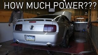 How Much Power Does My 2005 Mustang GT Make [upl. by Ahael152]