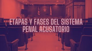 ETAPAS Y FASES DEL SISTEMA PENAL ACUSATORIO [upl. by Nevyar]