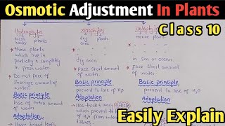 Osmotic Adjustment In Plants  Hydrophytes  Xerophytes  Halophytes  UrduHindi [upl. by Dnomsad]