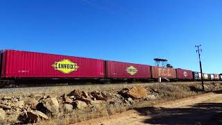 NR 118 100 1 On 7PX4 PN Industrial at MERREDIN Heading to Spencer Jcn Port Augusta 1852024 [upl. by Attaynek]