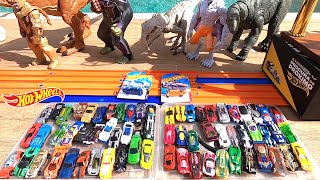 Hot Wheels Corrida Pista Velocidade Numero 5  Twin Mill e Cosmic Coupe  Brasil em Português [upl. by Ylime68]