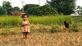 FAO in Nepal  Documentary version part 12 [upl. by Nimesay]