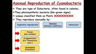 Plant Reproduction  Reproduction of Prokaryotes [upl. by Kienan]