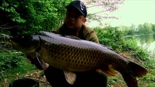 Carp Team Ahaus  Session Blog 12015 Baggersee [upl. by Ahsimot]