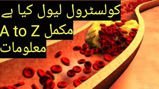 What is Cholesterol level A to Z full information in urdu hindi [upl. by Ennyrb205]