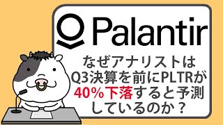 なぜアナリストは、第3四半期の決算を前に、パランティア株が40％下落すると予測しているのか？【20241031】 [upl. by Prissy]