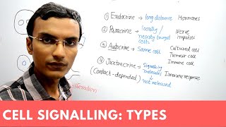 Types of Cell Signaling  Endocrine Paracrine Autocrine and Juxtacrine [upl. by Xymenes28]