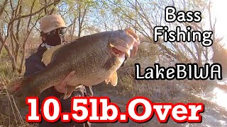 Bass fishing in Lake Biwa Japan [upl. by Eaned914]