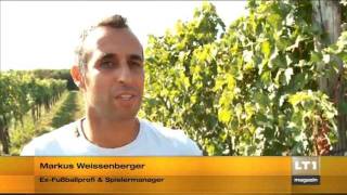 Weinlese Friends of Wagram [upl. by Avelin]