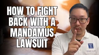 USCIS Processing Delays How to Fight Back with a Mandamus Lawsuit [upl. by Kania]