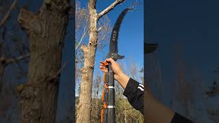 You can stand down from this argestable saw and cut down a tall tree shortvideo [upl. by Johns]