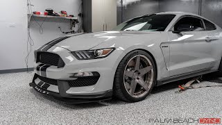 WHIPPLE SUPERCHARGED Shelby GT350 on Pump Gas  How Much Will It Make [upl. by Demeyer]