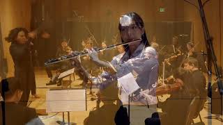 Devienne Flute Concerto First Movement [upl. by Stanislaw]