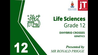 Gr 12  Life Sciences  Genetics  Dihybrid Crosses [upl. by Leigh]