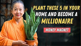 5 WEALTH Attracting Plants You Need in Your Home  Buddhist Teachings [upl. by Aivatnahs]