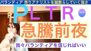 PLTRパランティア 「急騰前夜」株価はきっと上がる【全力次のテスラ】SP500採用されるだろう [upl. by Jephthah525]