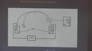 QAI Electroforesis Capilar I [upl. by Aenet]