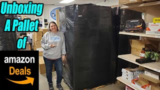 Unboxing a Pallet of 1000 Amazon Deals that are shelf Pulls and overstock Check it out [upl. by Eigriv]