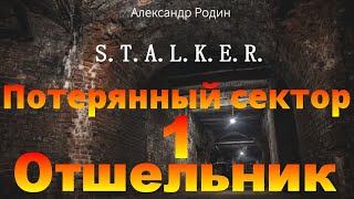 Обзор STALKER Волей Случая [upl. by Marteena]