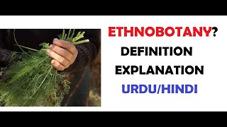 What is Ethnobotany Examples  Importance  Uses  UrduHindi [upl. by Osnola]