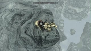 Dwarven Horse fall damage test [upl. by Hterrag19]