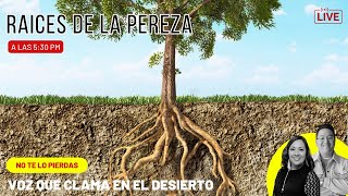 Superando la pereza desde la raiz Pt2 [upl. by Kreager]