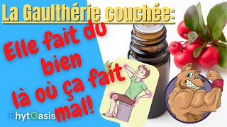 Comment Utiliser lHuile Essentielle de Gaulthérie Couchée Idéale contre les douleurs articulaires [upl. by Bethena]