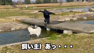 水遊び中の超大型犬に道づれにされる哀れな飼い主【丸洗い前編】 [upl. by Vitus554]