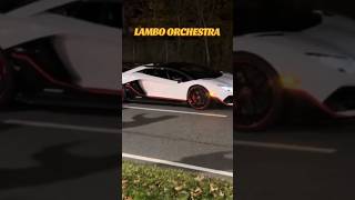 Lamborghini Aventador SVJ  GINTANI EXHAUST [upl. by Redle]