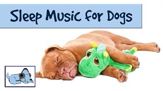 The Dog Song  Music to Help your Dog Sleep 🐶 RMD09 [upl. by Stimson944]