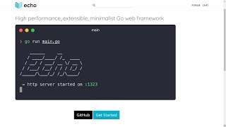 GOLANG API CRUD SIMPLES COM ECHO FRAMEWORK [upl. by Laroy]