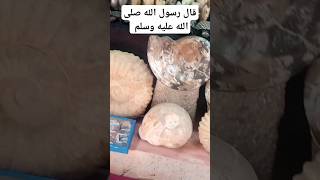 اكسبلور azilal تيكتوك لايك goodmorning امطار morocco [upl. by Kuo332]