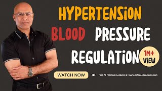 Hypertension  Blood Pressure Regulation  Hypotension [upl. by Jovitta]