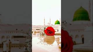 Beautiful Islamic emotional naate short status 🕋🕋🕋 [upl. by Ainelec]