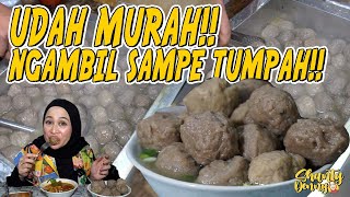 UDAH MURAH NGAMBIL SAMPE TUMPAH BAKSO KEROYOKAN RATU PEDAS [upl. by Luapsemaj]