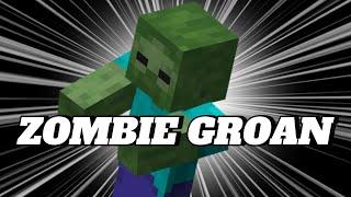 MINECRAFT ZOMBIE GROAN SOUND 1 HOUR [upl. by Lockhart]