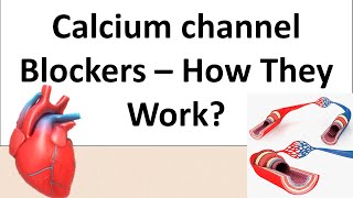 Norvasc Amlodipine  A Calcium channel blockers  Pharmacology amp Mechanism of action [upl. by Kimberlyn]