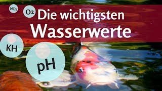 Wichtige Wasserwerte im Fischteich Diese 4 müssen Sie kennen [upl. by Irpak]