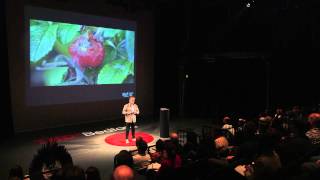 Biomimicry for better design  Andy Middleton  TEDxBedford [upl. by Amadis]