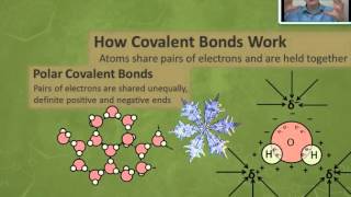 Lesson 932 Polar Covalent Bonds [upl. by Celestyna]